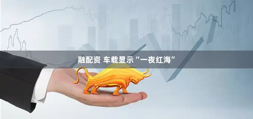 融配资 车载显示“一夜红海”