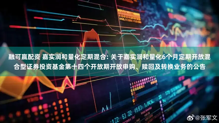 融可赢配资 嘉实润和量化定期混合: 关于嘉实润和量化6个月定期开放混合型证券投资基金第十四个开放期开放申购、赎回及转换业务的公告